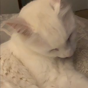 Meet your Posher, Austin